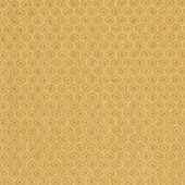 CR4-C-037