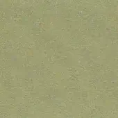 CR4-C-098