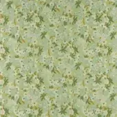 CR2-L-033