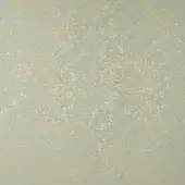 CR4-C-079
