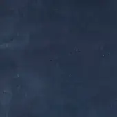 CUOIO-10