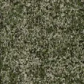 B202