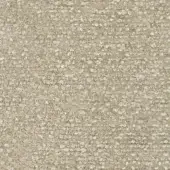 B204