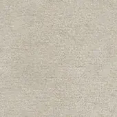 B194