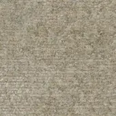 B206