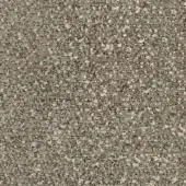 B207