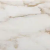 Calacatta Gold