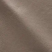 S5005