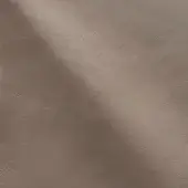 08 Oasi