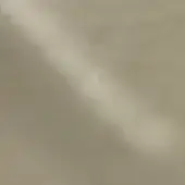 NP06