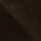 NP08