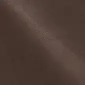 NP10