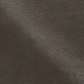 NP15