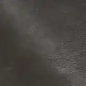 NP17