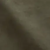 NP42