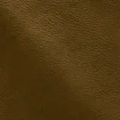NP2220