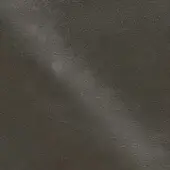 NP2460