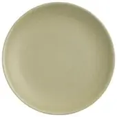 23-SEN-mustard