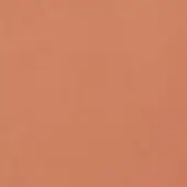 231