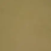 243