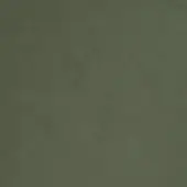 245