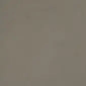 256