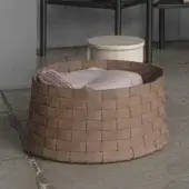 Dama Basket
