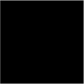 Glossy Black