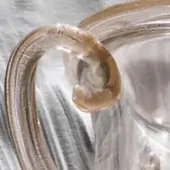 Clear & Gold - Klinai Naval Amphora