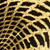 Black & Gold - Arlecchino Centerpiece