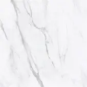 White Michelangelo