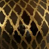 Black & Gold - Arlecchino Bowl