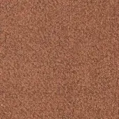 Gart Altai Brown - cod 38/8