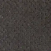 J_16