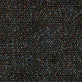 101