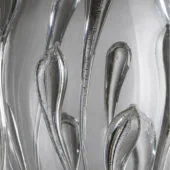 Transparent-platinum-birth