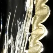 Theorema White & Gold