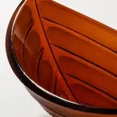 Amber Canoa