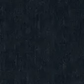Dark Gray - High Gloss