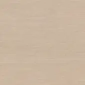 Oak - High Gloss