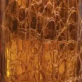 Dark Amber - Coccodrillo