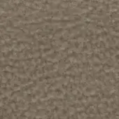 R81