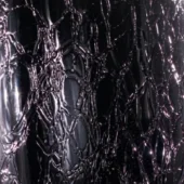 Black - Coccodrillo