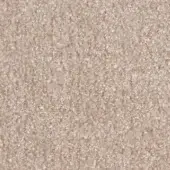 N61