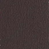 P55