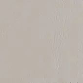 P85