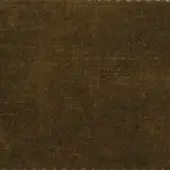 N81