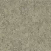 S02