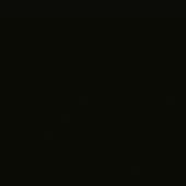 PP03 Black