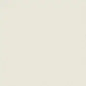PP14 Ivory